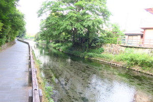 水がとってもきれいです！今の時期は足をつけると気持ち良いです！たまに学生が泳いでます（笑