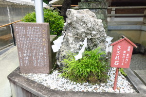 熊本支店近くの健軍神社内にある「さざれ石」です。君が代にでてくる「さざれ石」のようです！