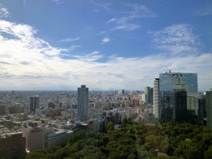 まだ暑い日が続いていますが、だんだんと秋の空になってきました。