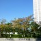 建設業許可の廃業届について