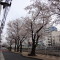 建設業手続きの窓口について～東京都の場合①